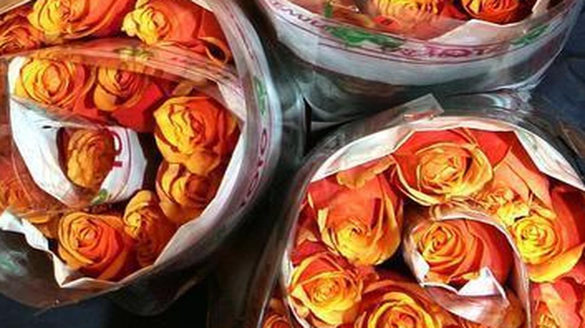 John Baisch, president of a St. Louis floral distributor, in 2008 holds roses from the first flower flight from South America to MidAmerica Airport. St. Clair County invested $6 million in flower flights, which ended after about two years.