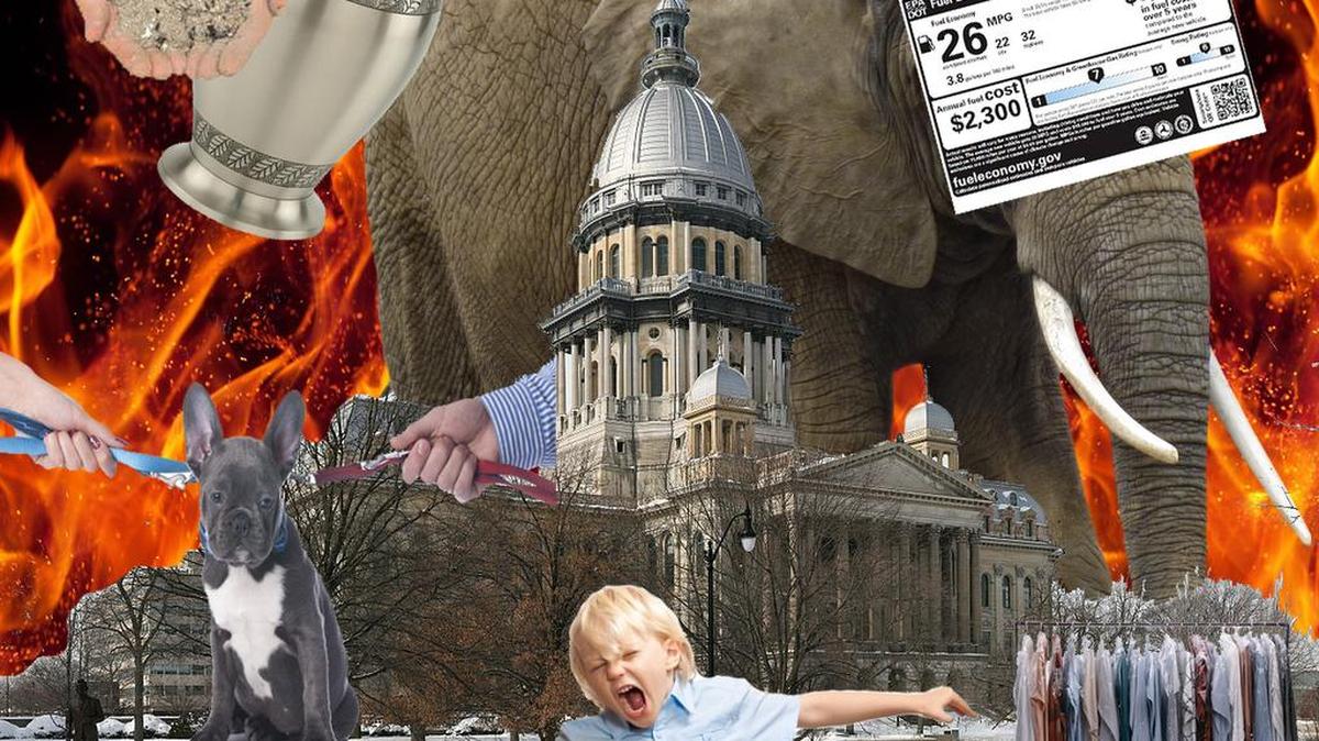 More than 200 new laws are on the books in Illinois, trying to legislate everything from dry cleaning bills to circus elephants to rowdy youngsters to where ashes can be spread to car sales stickers to pet custody. No one tackled the real issues of spending, pensions, too much government or too many taxes.