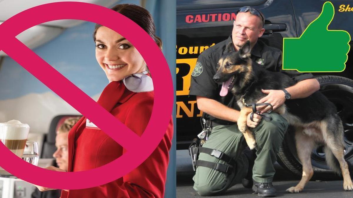 Voters’ message in defeating the public safety sales tax was that you don’t expand an underused airport when you don’t have money to put enough deputies on patrol.