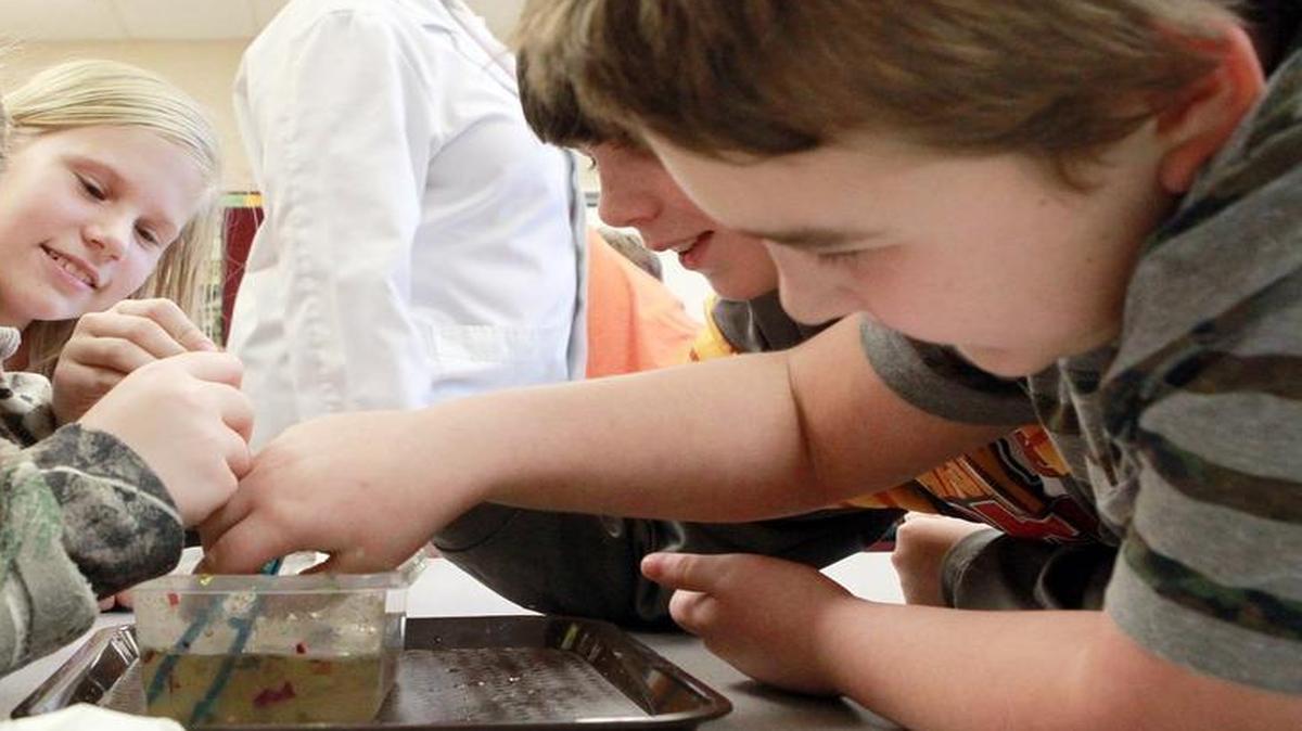 Fifth grade students at Bluffview Elementary in Dupo learn about marine life. Schools receive 61 percent of the property taxes in St. Clair County.