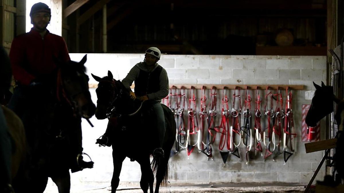 State Rep. Elizabeth Hernandez hopes to save Fairmount Park and the state’s other tracks by allowing them to have table games.