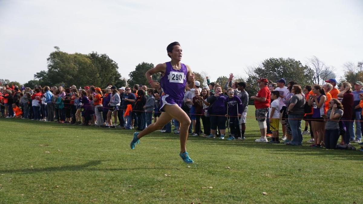Mascoutah senior Ethan Price shaved 37 seconds off his personal best time to finish 14th at the Illinois Class 2A state cross country meet in Peoria.