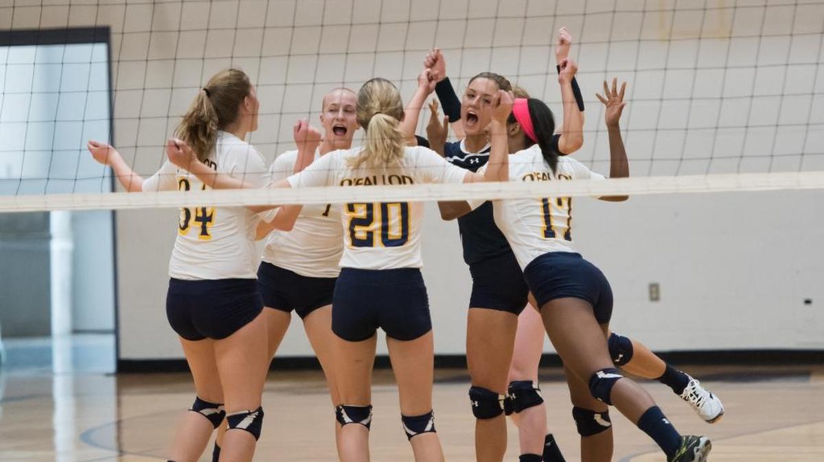 The O’Fallon Panthers hope to be doing a lot of celebrating in the volleyball playoffs