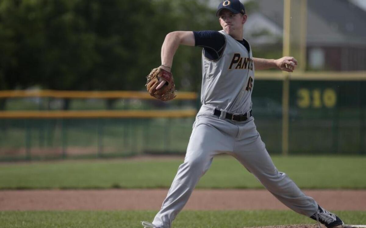 O'Fallon’s Brad Harrison was voted the Belleville News-Democrat Large-School Baseball Player of the Year.