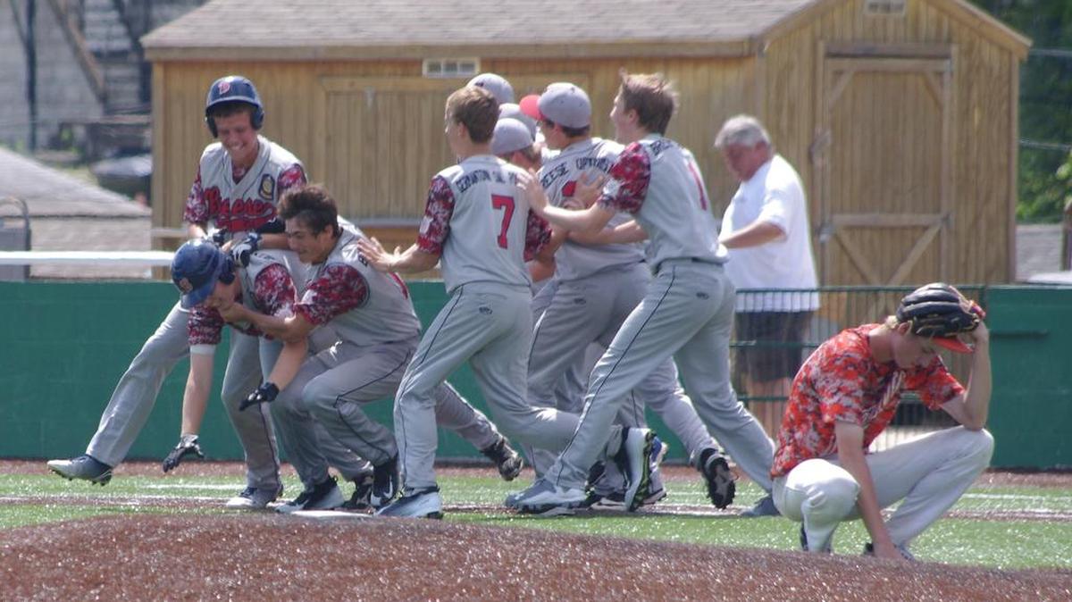 
Members of the Breese Gray Junior American Legion baseball team celebrate their state championship victory Sunday.
