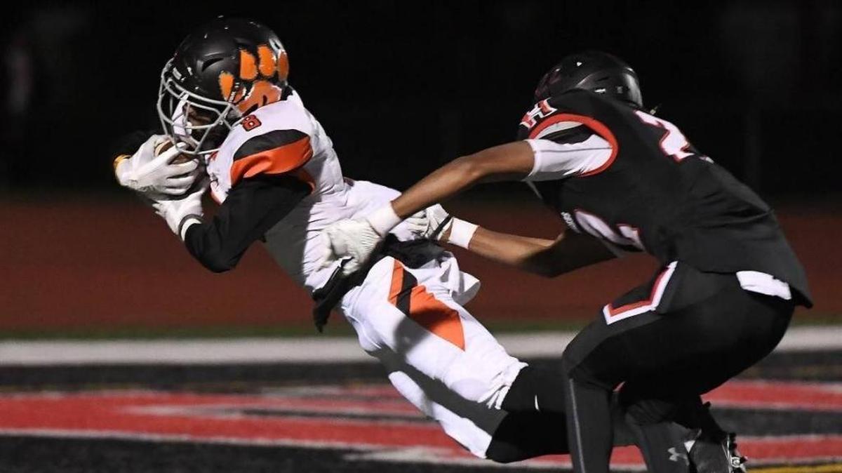 Edwardsville's Joseph King (8) dives in to the end zone for a first quarter touchdown against Huntley during last week’s first round playoff game in Huntley.