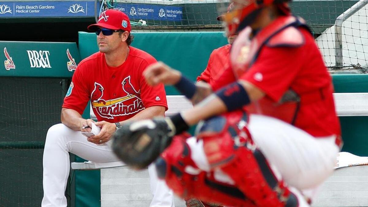 Mike Matheny has won 375 games in four seasons managing the Cardinals, not counting their playoff wins since 2011. How many victories will he add in his fifth season as skipper?